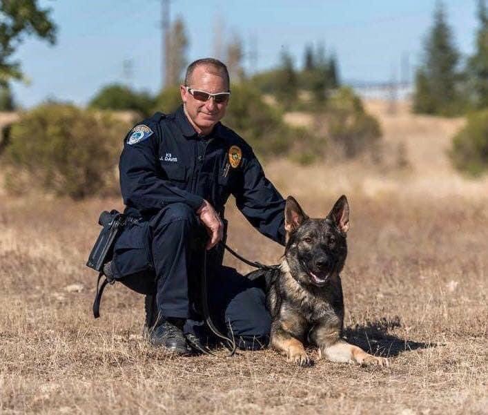 K9 Officer Bruno gets bulletproof protective vest